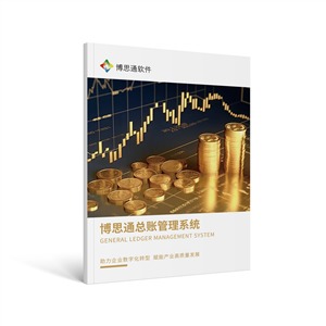 博思通总账管理系统